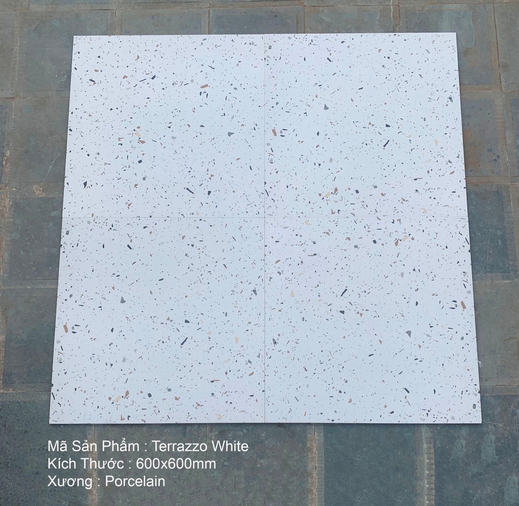 Gạch Terrazzo 600x600mm White