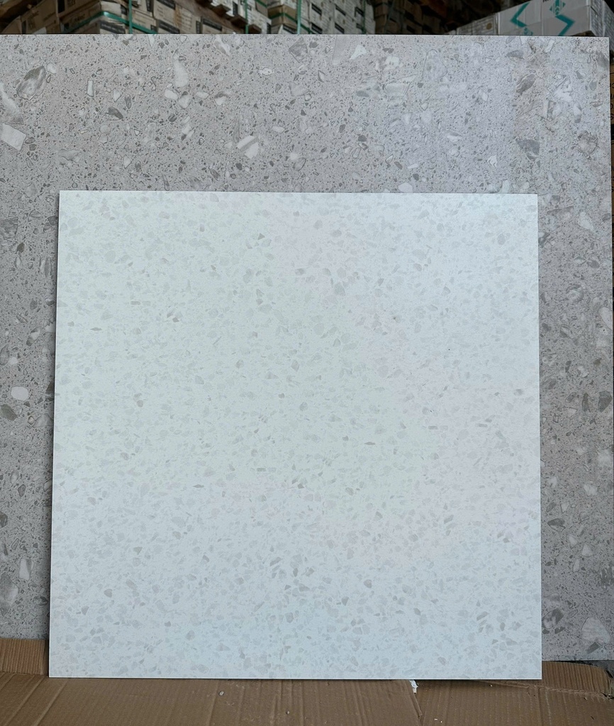 Gạch Terrazzo 600x600mm men matt AMY7685