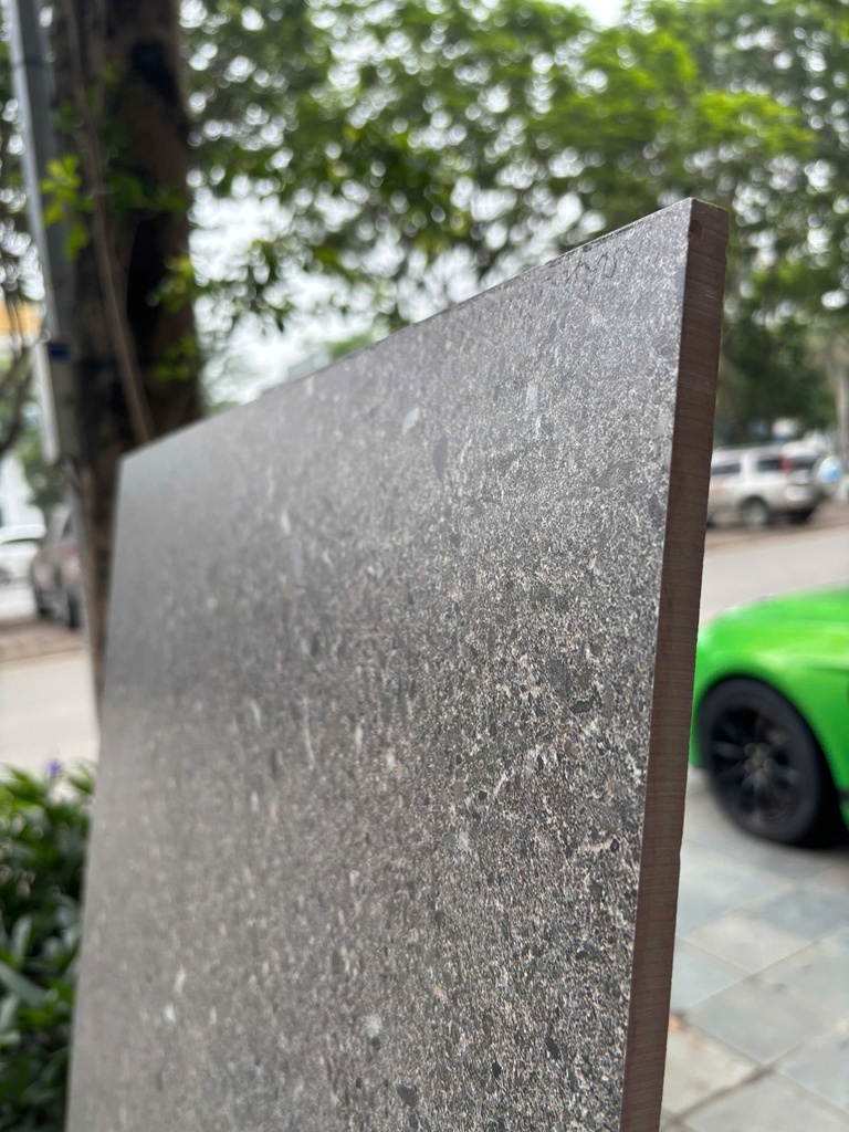 Gạch Terrazzo 600x1200mm Men Matt DSH01