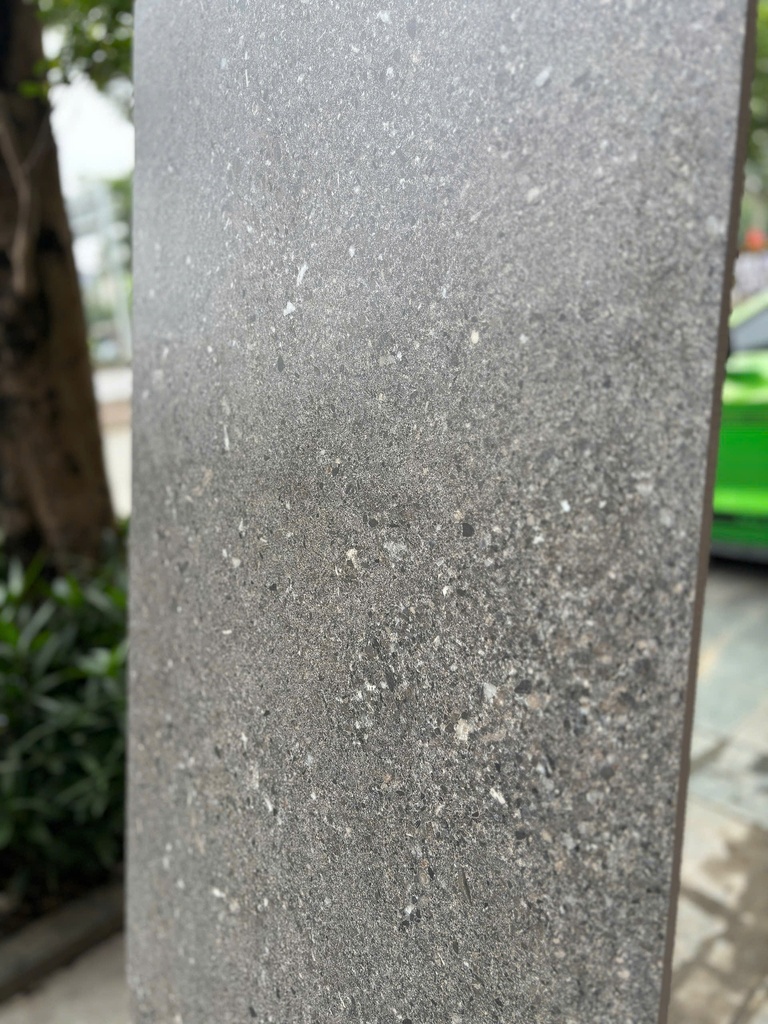 Gạch Terrazzo 600x1200mm Men Matt DSH01