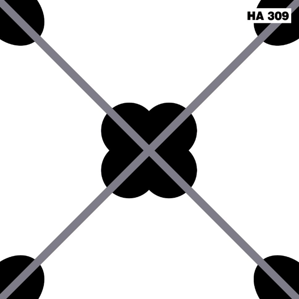 Gạch bông hoa mai HA309 KT 30x30