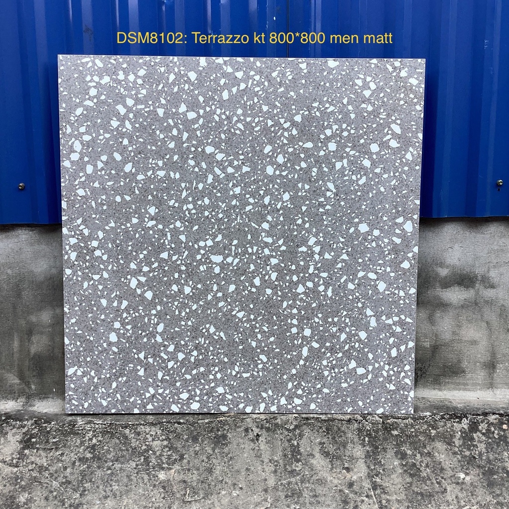 Gạch Terrazzo 800x800mm DSM8102