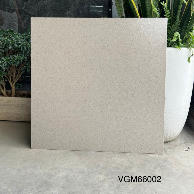 Gạch lát sàn KT 600x600mm VGM66002