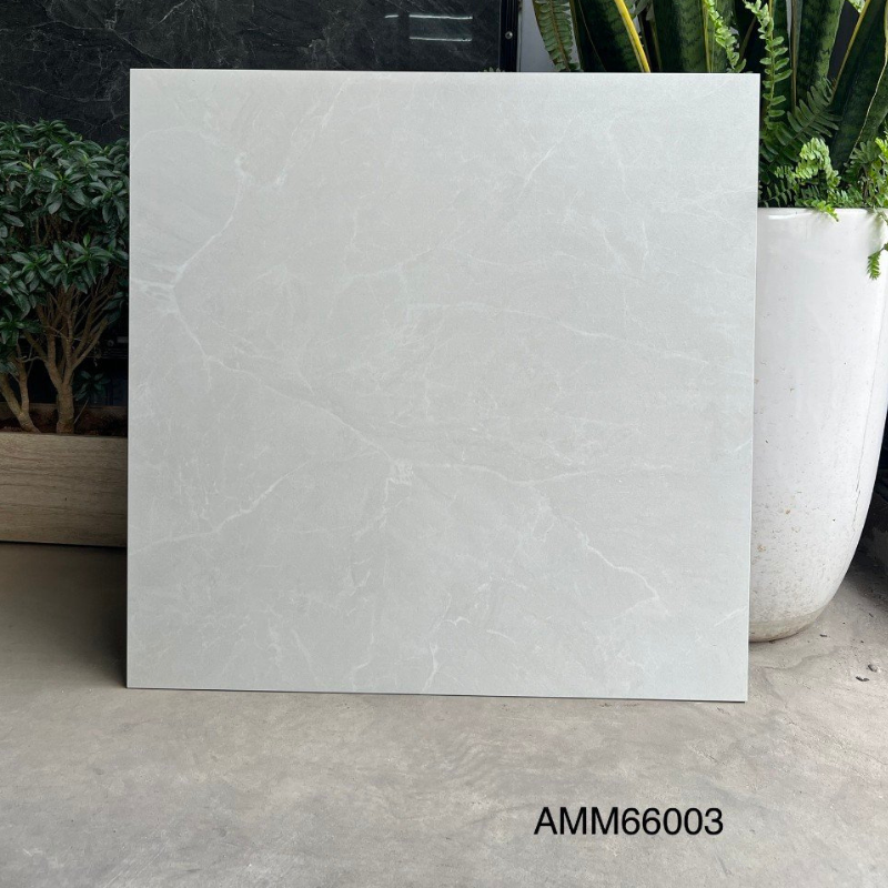 Gạch lát sàn KT 600x600mm AMM66003