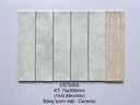 Gạch thẻ lượn mặt 75x300mm DS75300