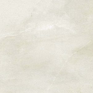 Gạch lát nền taicera 60×60 g6873m2