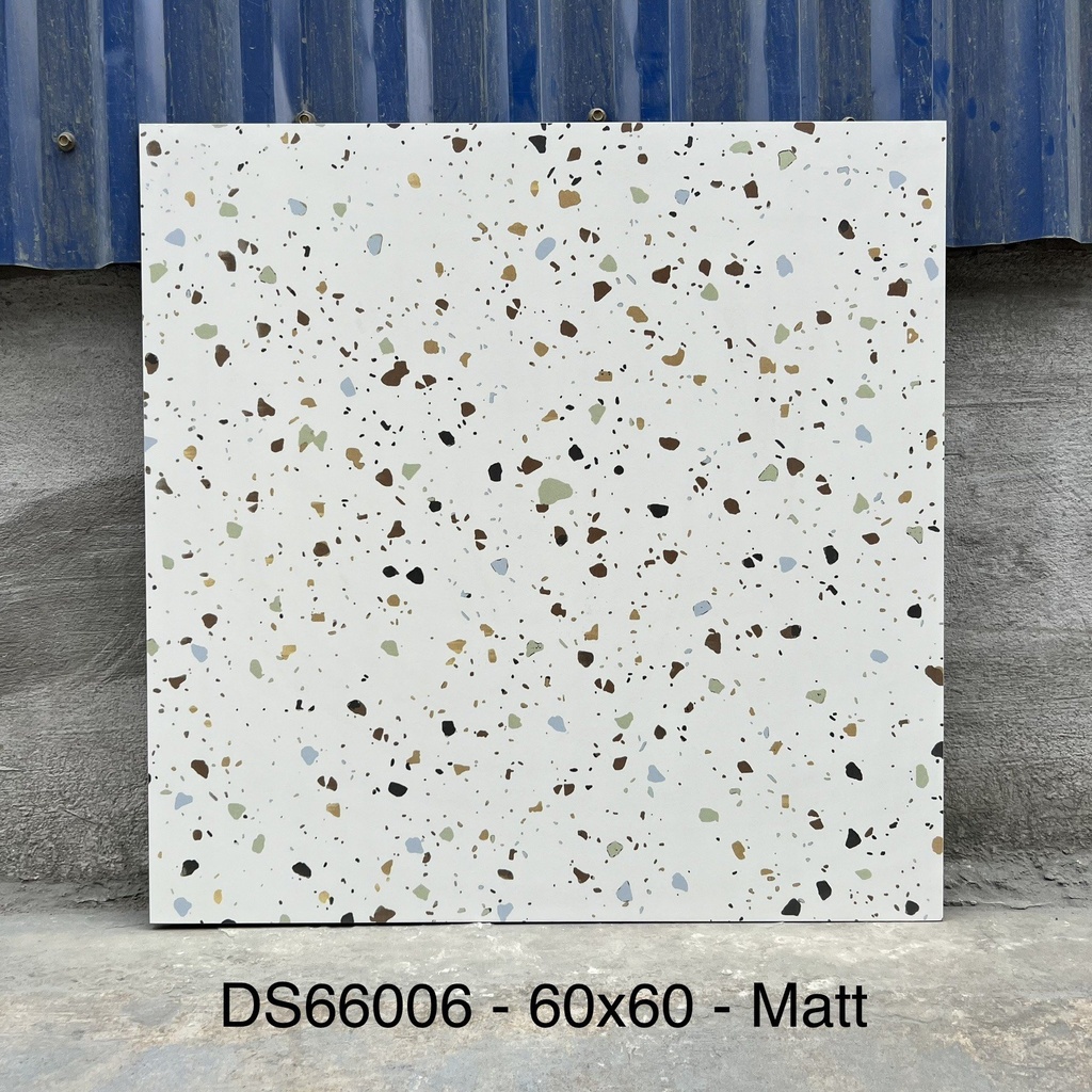 Gạch Terrazzo 600x600mm Men Matt DS66006
