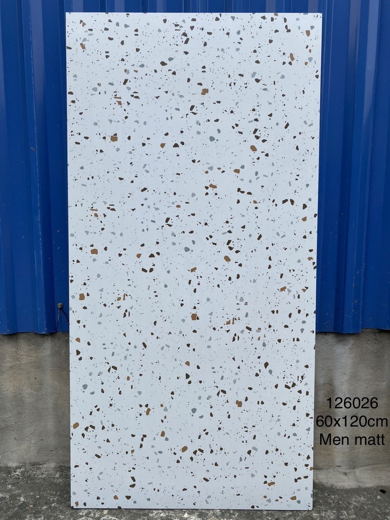 Gạch Terrazzo 600x1200mm Men Matt 126026