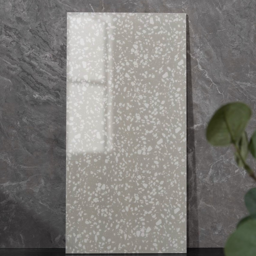 [3603L] Gạch Terrazzo 300x600mm 3603L