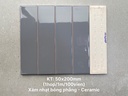 Gạch thẻ xám nhạt bóng phẳng KT 50x200mm SI0208P
