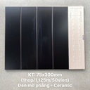 Gạch thẻ cao cấp đen mờ phẳng KT 75x300mm STA75307M