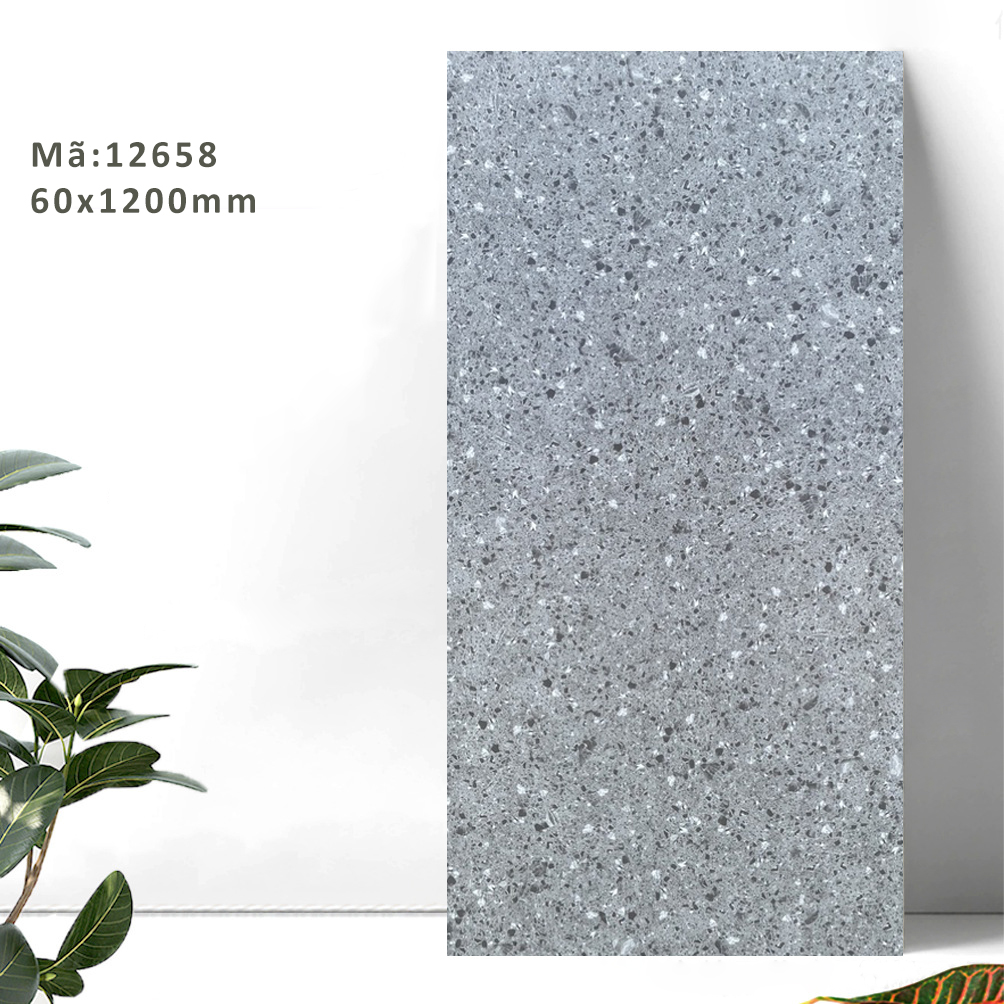 Gạch Terrazzo 600x1200mm Men Matt 12658