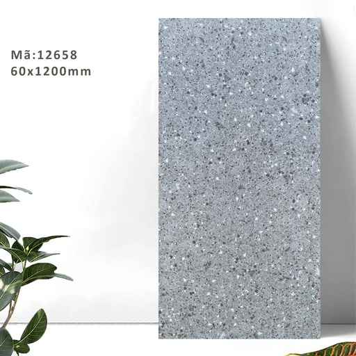 [12658] Gạch Terrazzo 600x1200mm Men Matt 12658