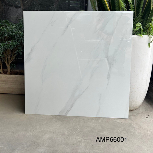 [AMP66001] Gạch lát sàn KT 600x600mm AMP66001