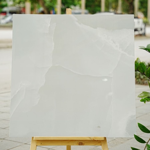 Gạch Ấn Độ KT 800x800mm Valencia white