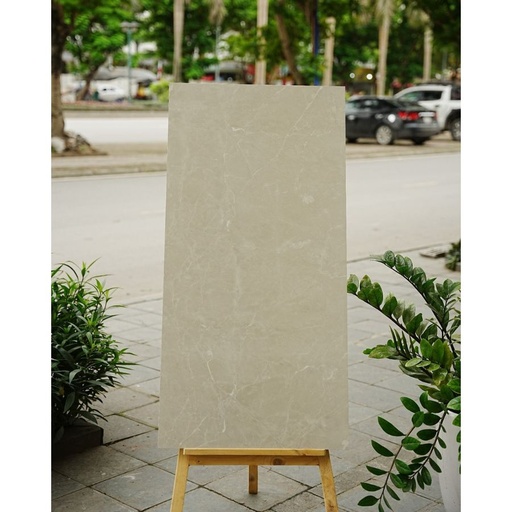 [12214R] Gạch Ấn Độ KT 600x1200mm 12214R