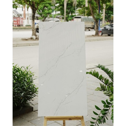 [Valencia White] Gạch Ấn Độ KT 600x1200mm Valencia White