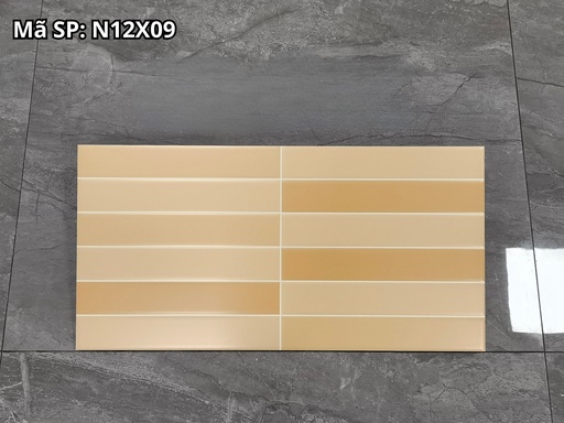 [N12X09] Gạch ốp tường KT 300x600mm N12X09