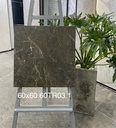 Gạch ốp lát 600x600 mã 60TR03