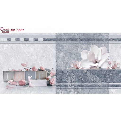 [DAISANB2B_G_14873309] Gạch ốp tường 30x60 Catalan 3697
