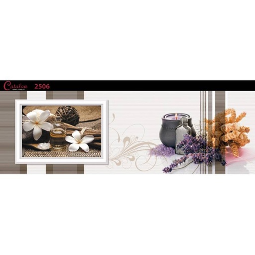 [DAISANB2B_G_15099418] Gạch ốp tường 255x780 Catalan 2506
