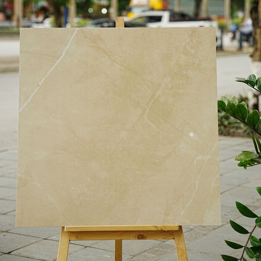 [DSH-35203] Gạch Ấn Độ KT 800x800mm Armani Beige