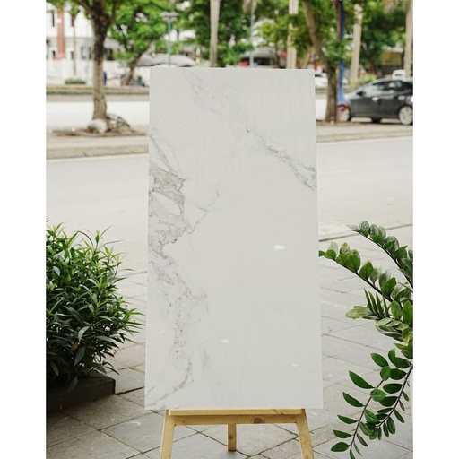 [DSH-35235] Gạch Ấn Độ KT 600x1200mm Lotus Statuario
