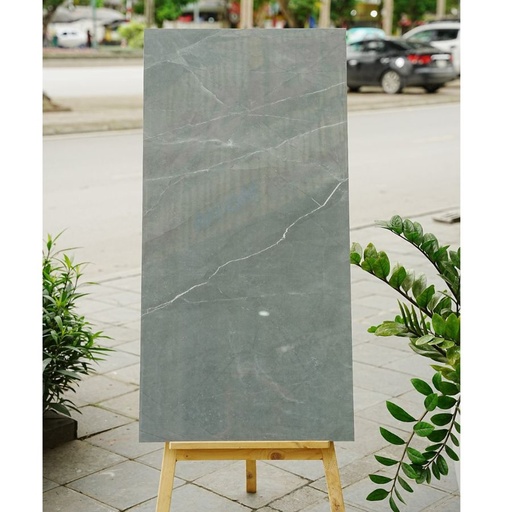 [DSH-35208] Gạch Ấn Độ KT 600x1200mm 1015