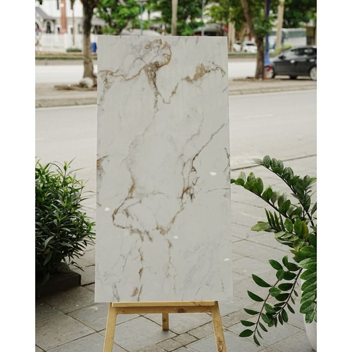 [DSH-35237] Gạch Ấn Độ KT 600x1200mm Latina Bianco
