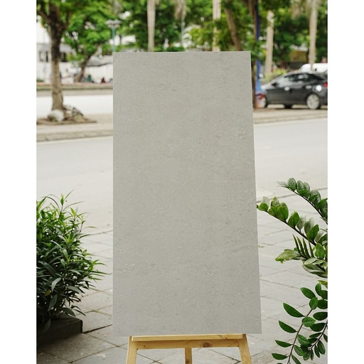 [DSH-35214] Gạch Ấn Độ KT 600x1200mm Altron Bianco