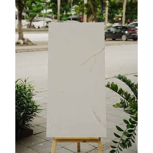 [DSH-35244] Gạch Ấn Độ KT 600x1200mm Satin Base 1006