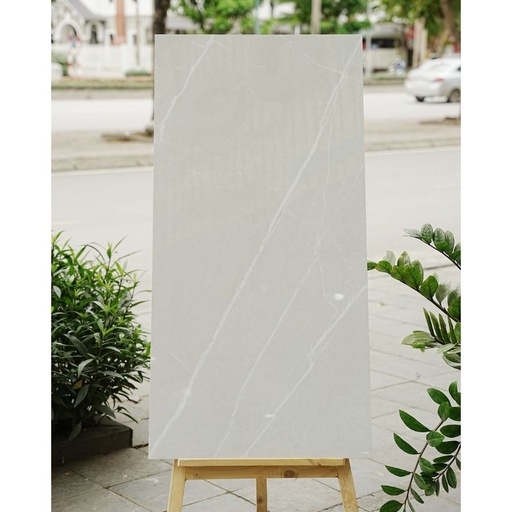 [DSH-35246] Gạch Ấn Độ KT 600x1200mm Spirit Bianco