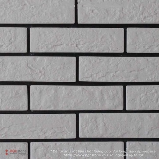 [HGC-856] Gạch thẻ trắng GT05