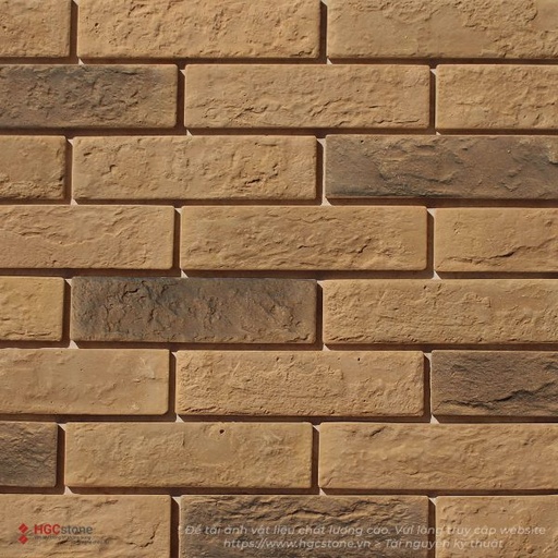 [HGC-251] Gạch trang trí vàng đất