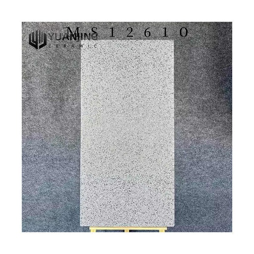 [106787567954] Gạch men mài bóng cao cấp khổ lớn mờ 600x1200mm