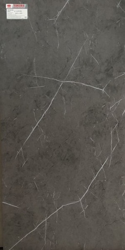 [g12808] Gạch lát nền taicera 60×120 g12808