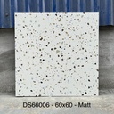 Gạch Terrazzo 600x600mm Men Matt DS66006