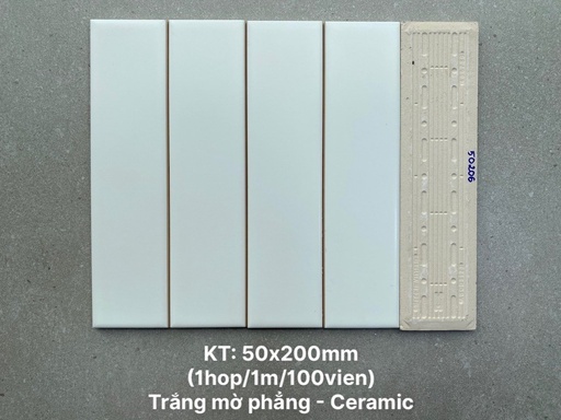 [PSTA50206] Gạch thẻ cao cấp trắng mờ phẳng 50x200 mã PSTA50206