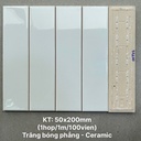 Gạch thẻ trắng bóng phẳng KT 50x200 PSTA50200