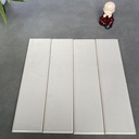 Gạch thẻ xám ấm bóng phẳng kt 50x200 FA0208P